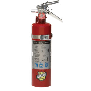 Buckeye 13315 2.5 lb Fire Extinguisher with Vehicle Bracket