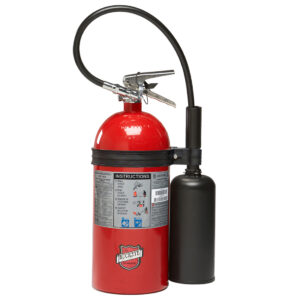 Buckeye 45600 10 lb CO2 Fire Extinguisher with Wall Hanger