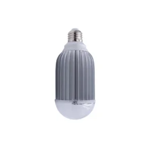 Self-Ballasted Hood Light