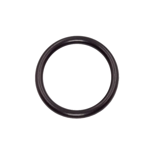 O-Rings