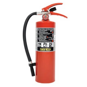 Ansul 442257 5 lb Fire Extinguisher with Wall Hanger (Model AA05S-1)